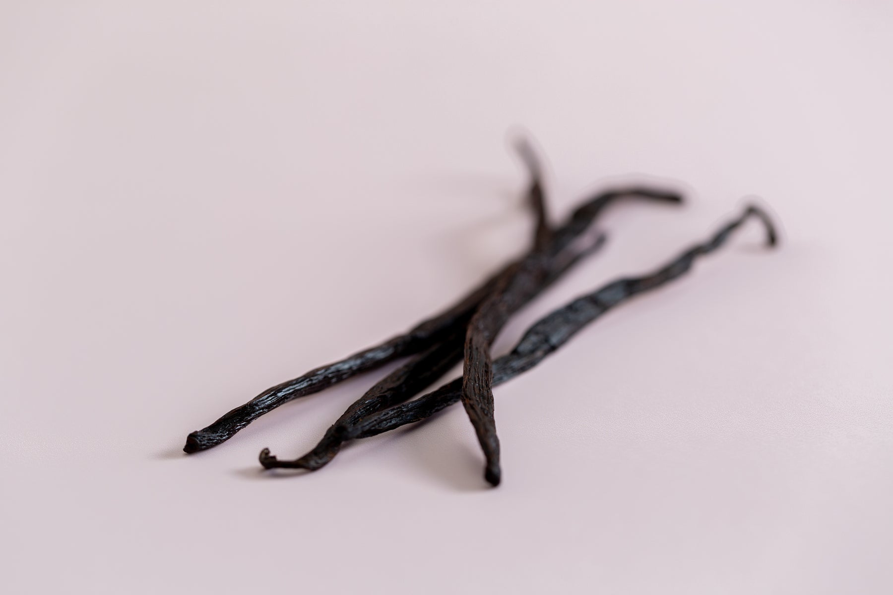 four vanilla pods on a light pink background