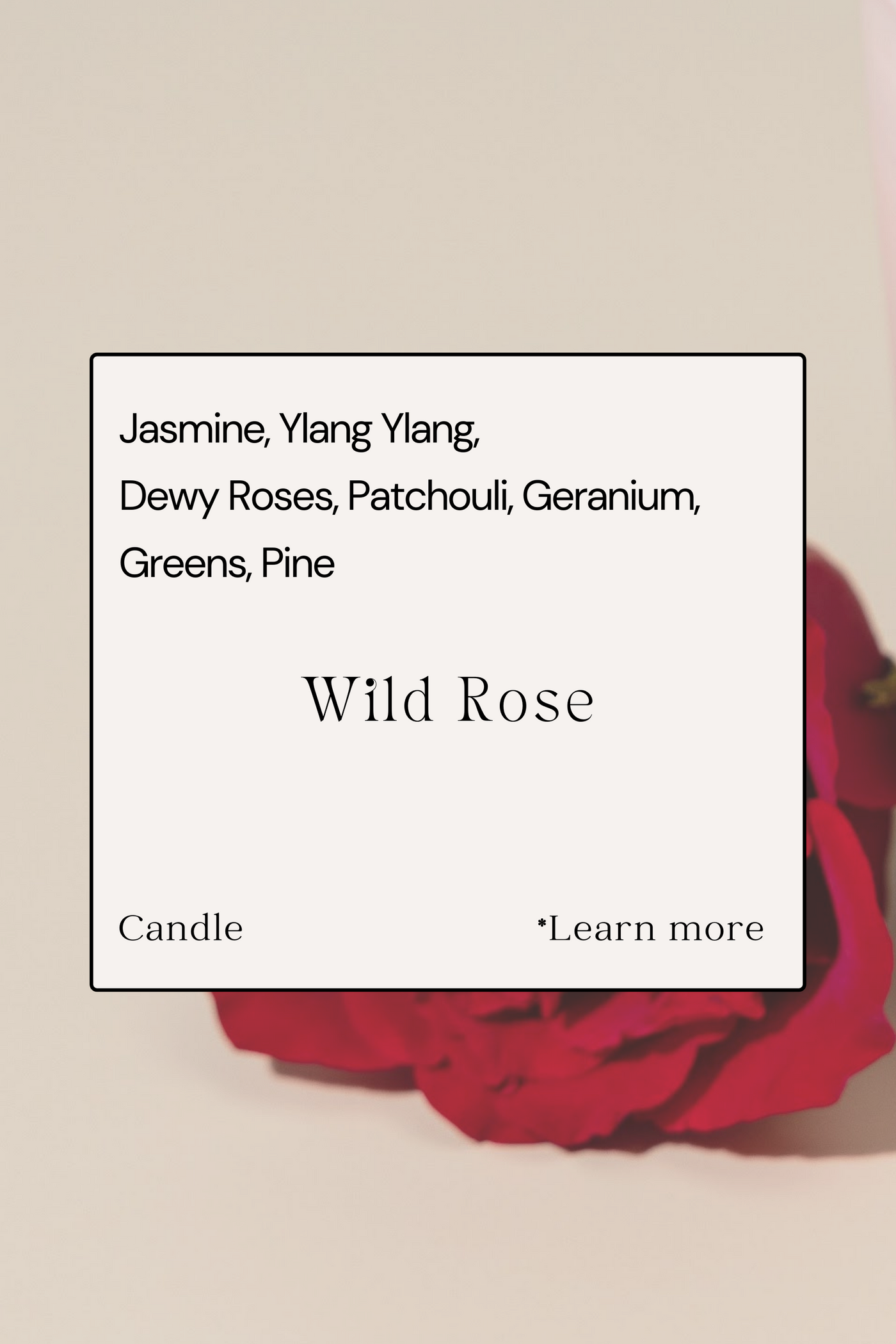WILD ROSE